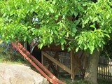 Rutsche 